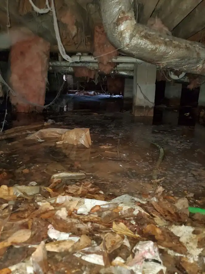 Crawl space flood assessment for Leak Detection & Repair in Hereford